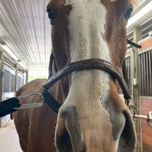 Meet your Posher, Julia